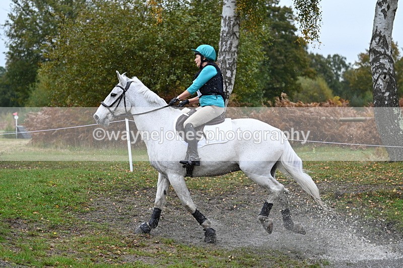 WJ7_1749 - 80cm Cam 2 Water Time 11:47 to 12:17