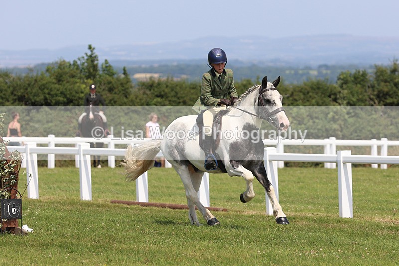 JPP_3385 - Class 22: Working Hunter 70cm