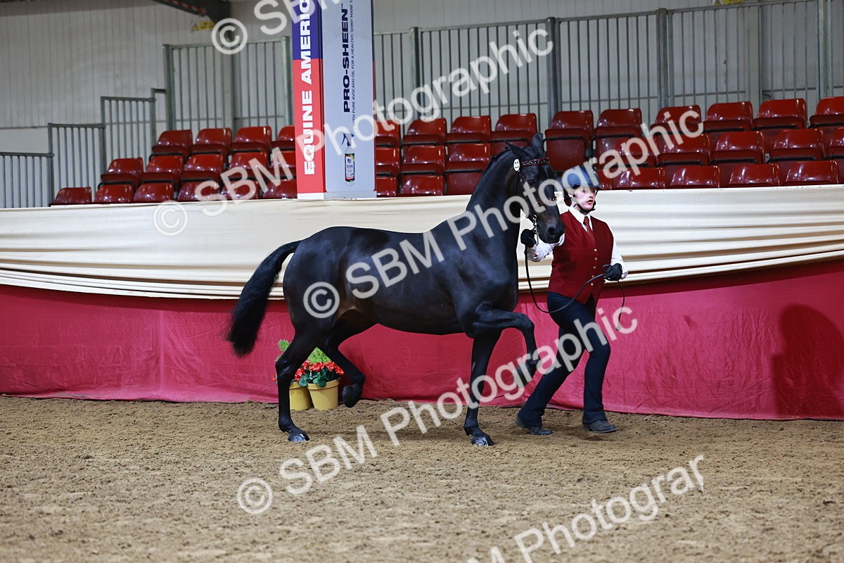 SBM_22161 - Class 902 - Supreme Final - IH Diamond