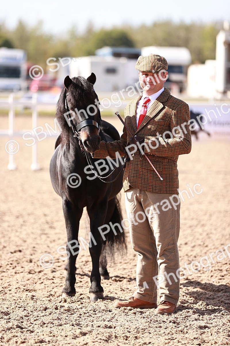 SBM_22801 - Class 705 - IH Combination 65+