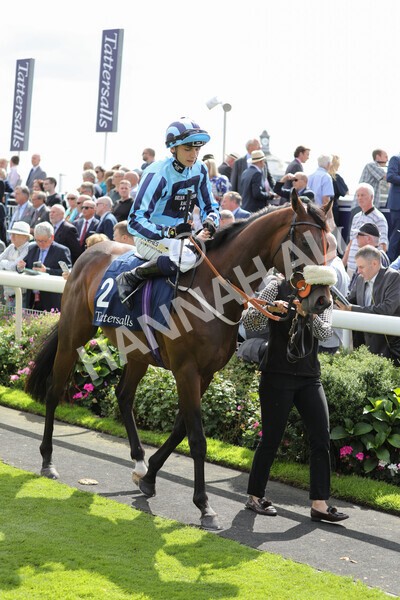 yr17082022r2-7 - Race 2 2.25pm Tattersalls Acomb Stakes