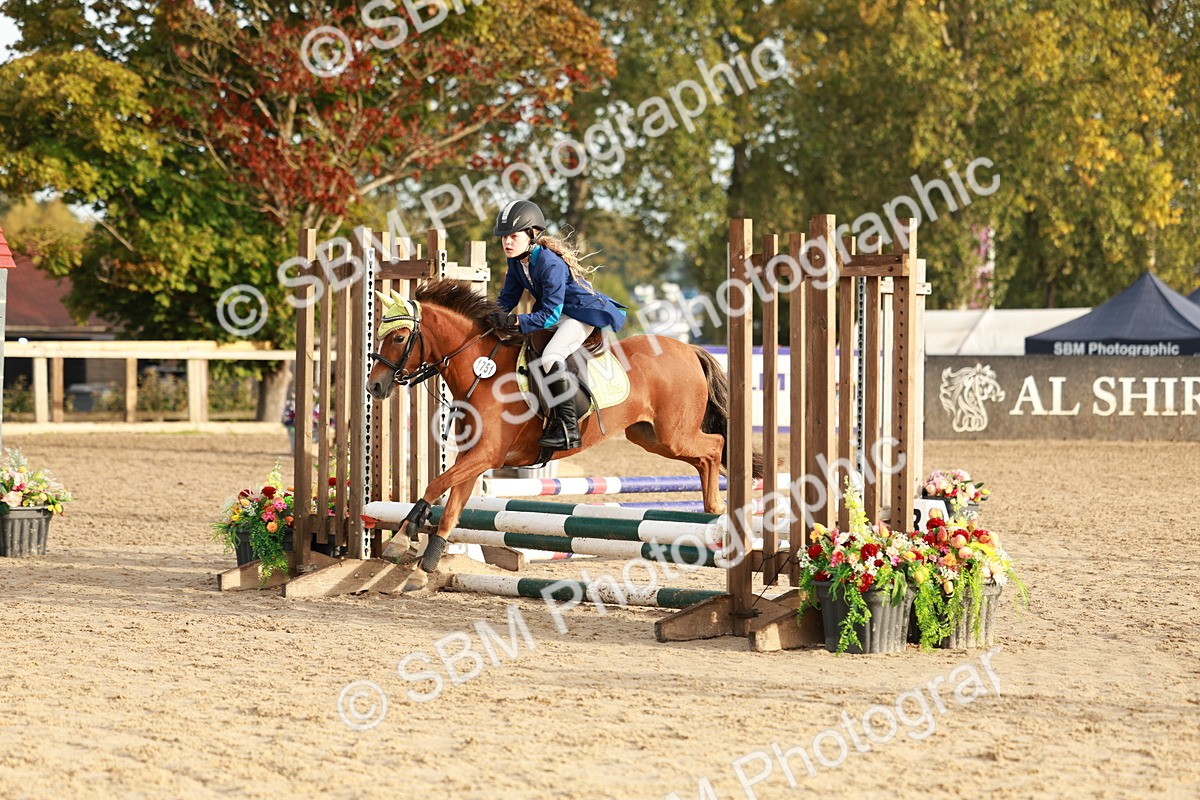 SBM_55439 - J11 - Junior Pony 50cm Championship