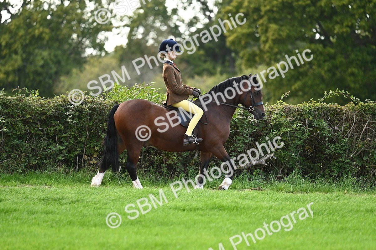 SBM_26534 - S7 - Novice & Newcomer Ridden Pony