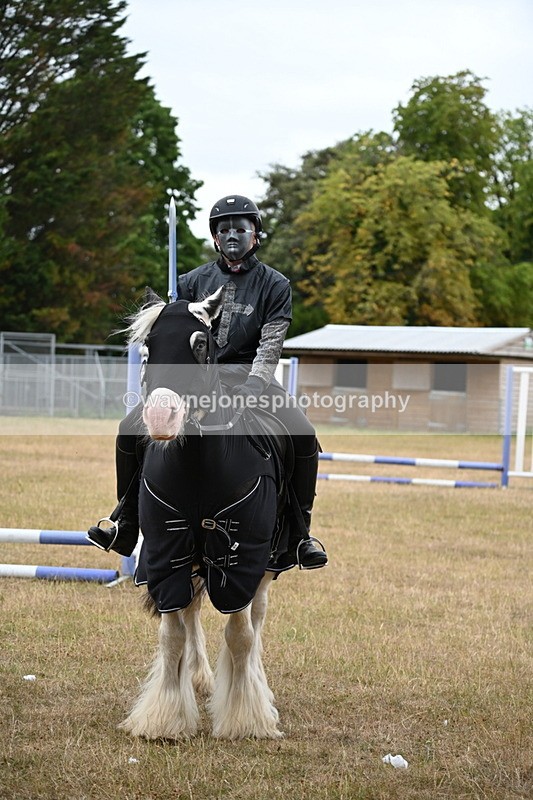 WJ6_8975 - Class 11 Fancy Dress