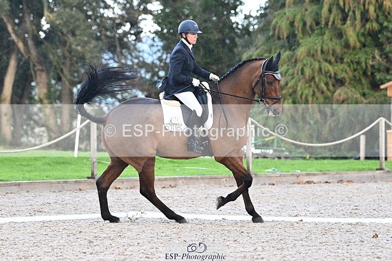 231110-151139-02135 - Cls 9 Adv Medium 91Q