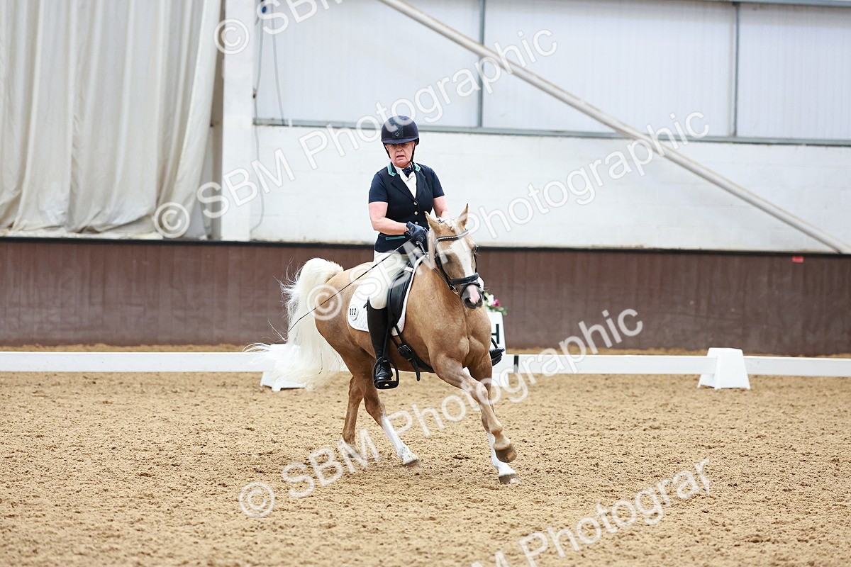 SBM_001217 - Class 5-6 - Novice 1-Elem 1