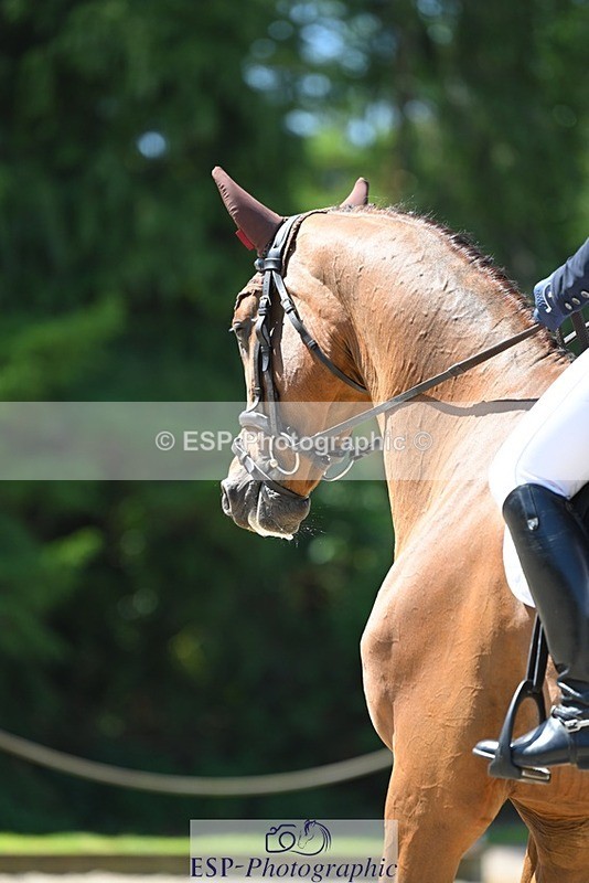 230526-120641-05945 - 473-IRON_IV-Selina_Milnes-DR