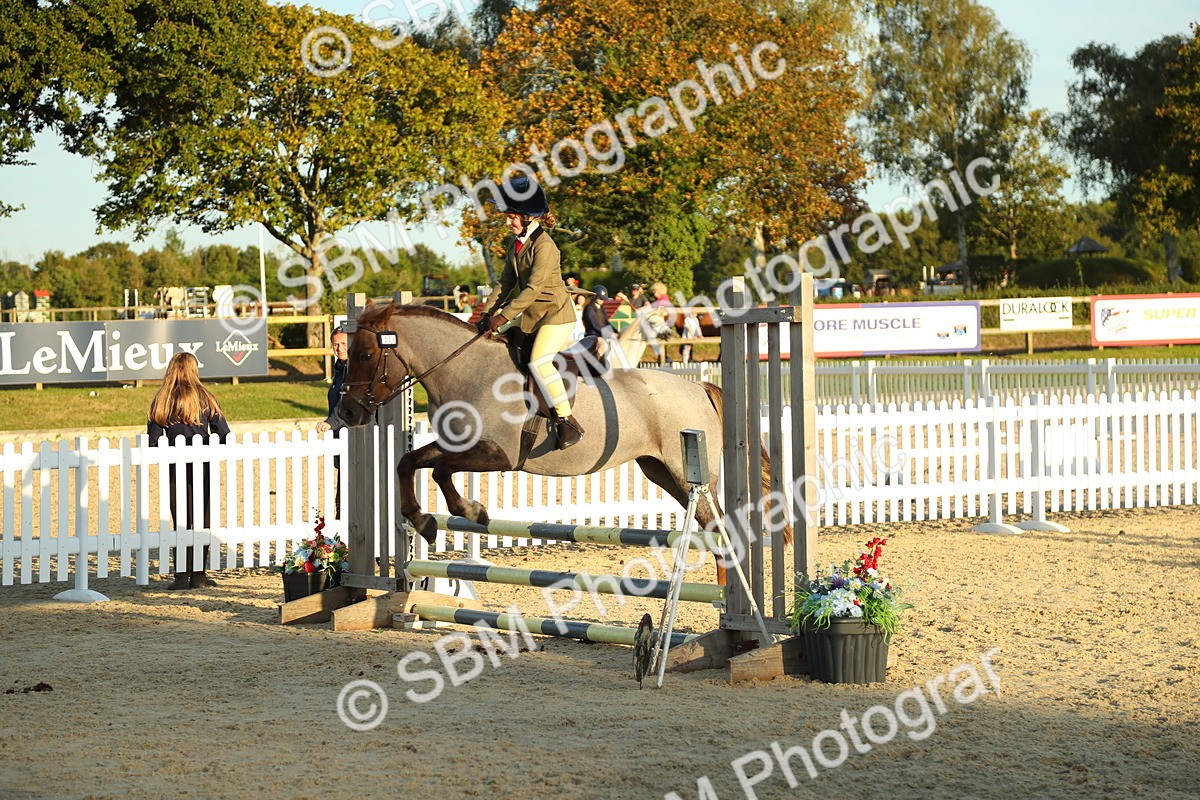 SBM_53914 - J8 - Junior Pony 65cm Championship