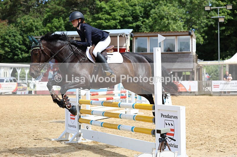 3E7A3116 - Class 4: Senior British Novice/90cm open