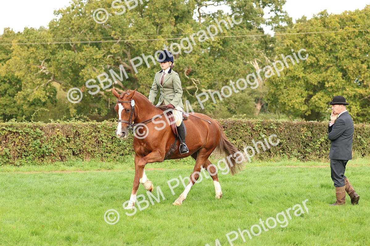 SBM_56641 - S40 - Starters Ridden Showing