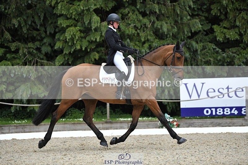 230525-153050-03267 - 327-ROMANTIC-Rosie_Fry-WEDTrotUp+DR