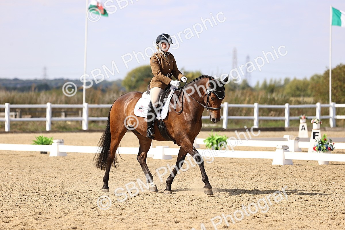 SBM_015100 - Class 6 - Elementary 5