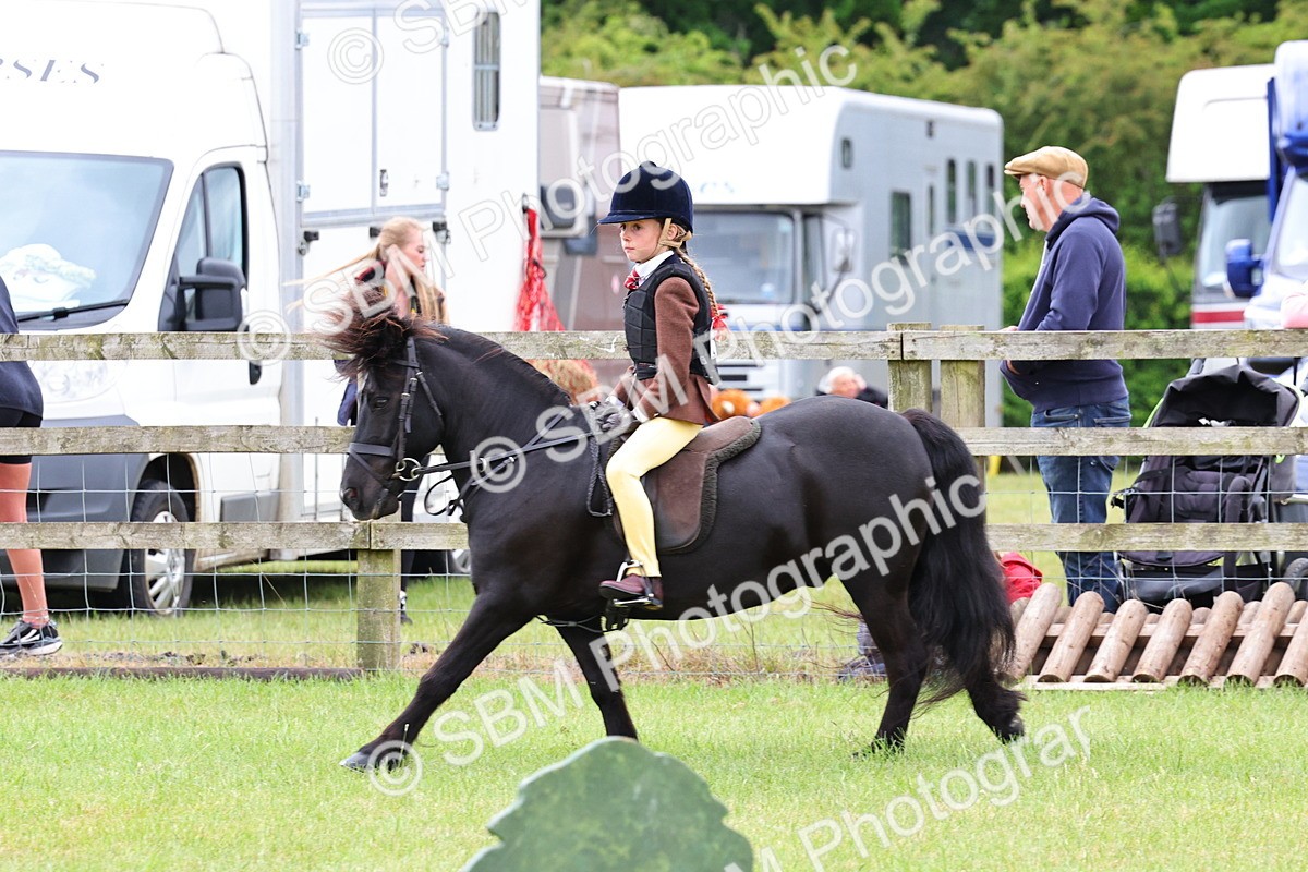 SBM_08680 - Class 42-43 - LIHS BSPS Heritage Working Sports Pony