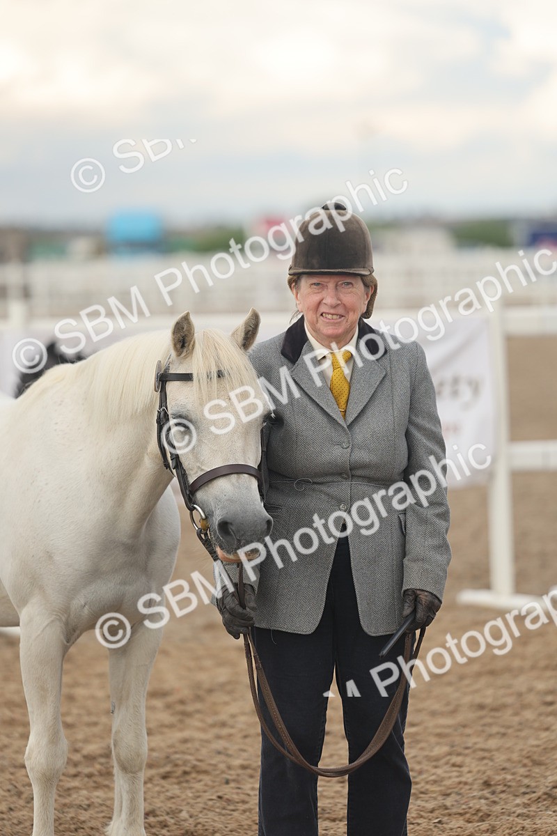 SBM_08549 - Class 29 - IH Veteran Pony