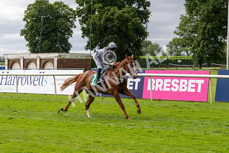 030724-Race 3-Thunder Run-0649 - Race 3