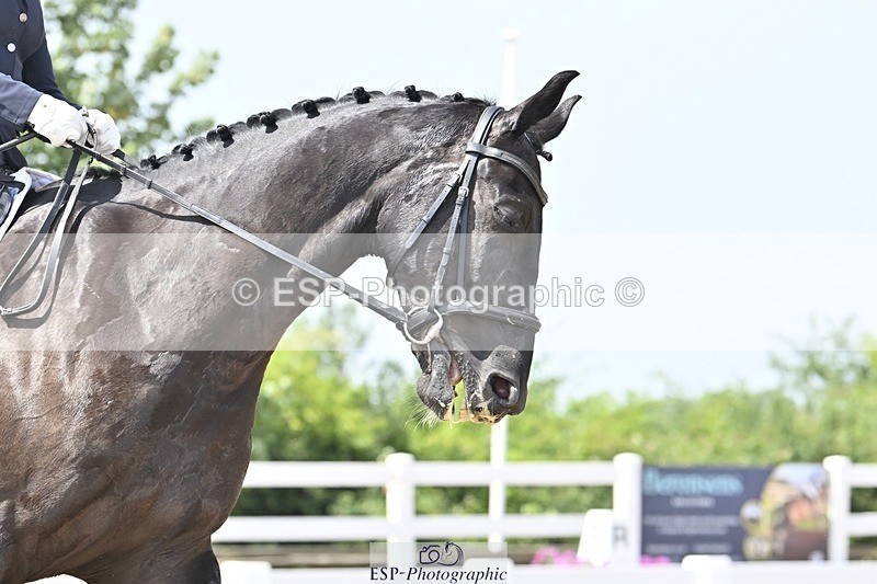 250621-135655-10504 - Cls 29 - Elementary 5, Start to 14.10