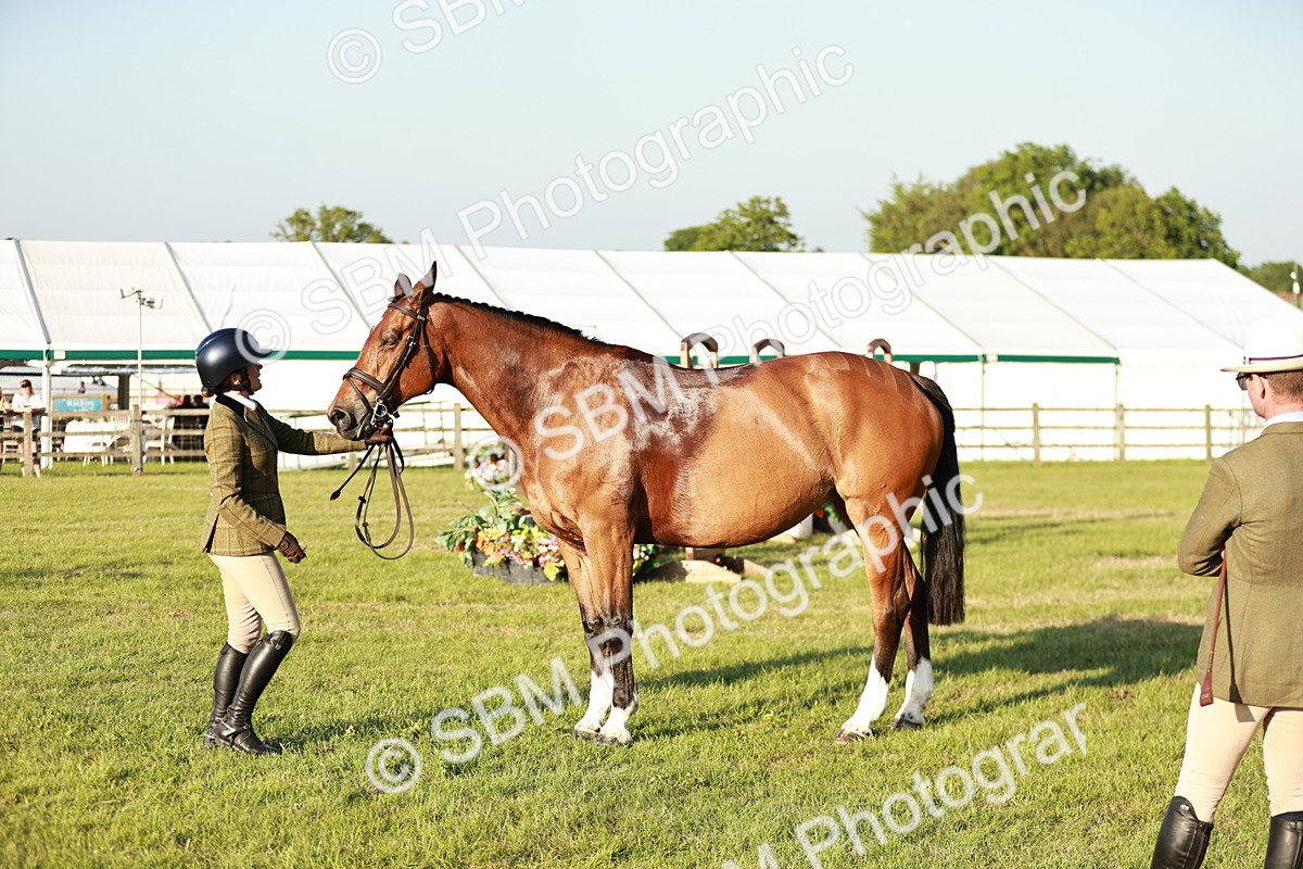 SBM_20533 - Class 117-119 - Sport Horse Working Hunter