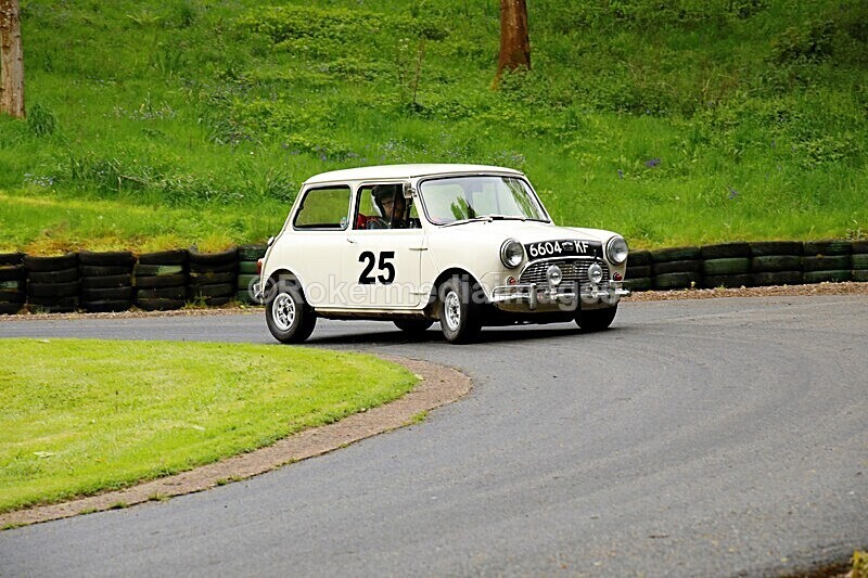 _56A1609 - MINI FESTIVAL 22ND May 2021