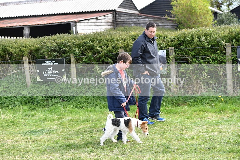 WJ5_0713 - Best in Show Championship