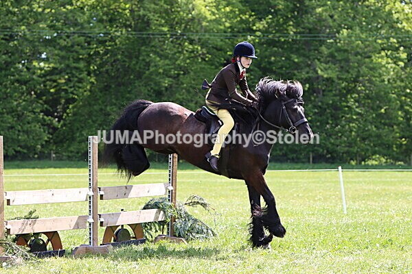IMG_4321 - Working Hunter