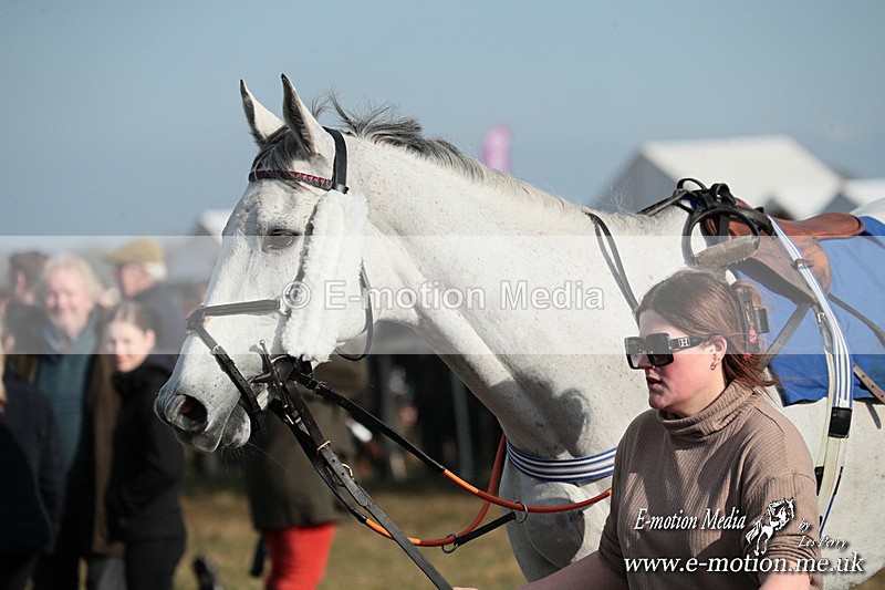 PtP 010325 380 - Beaufort Races Didmarton 01/03/25