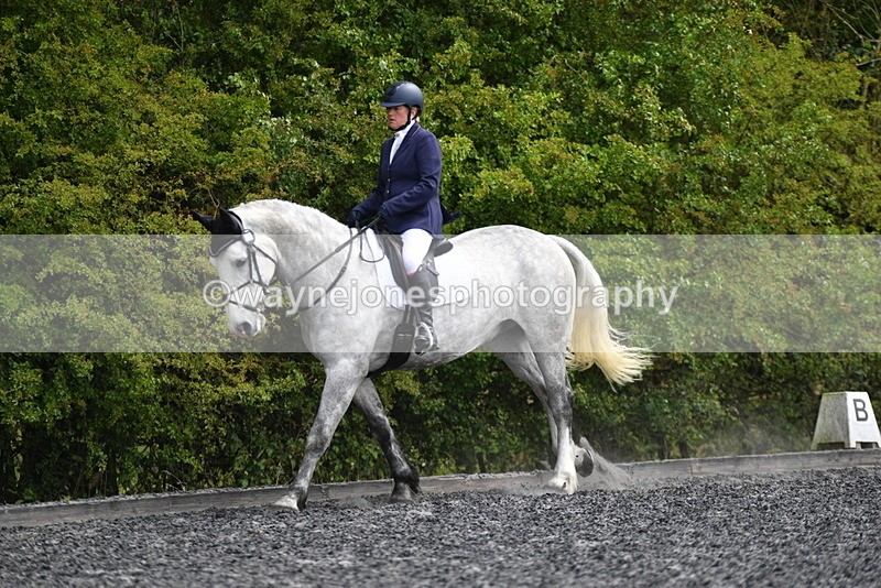 WJ5_2017 - Time 15:05 to 15:30