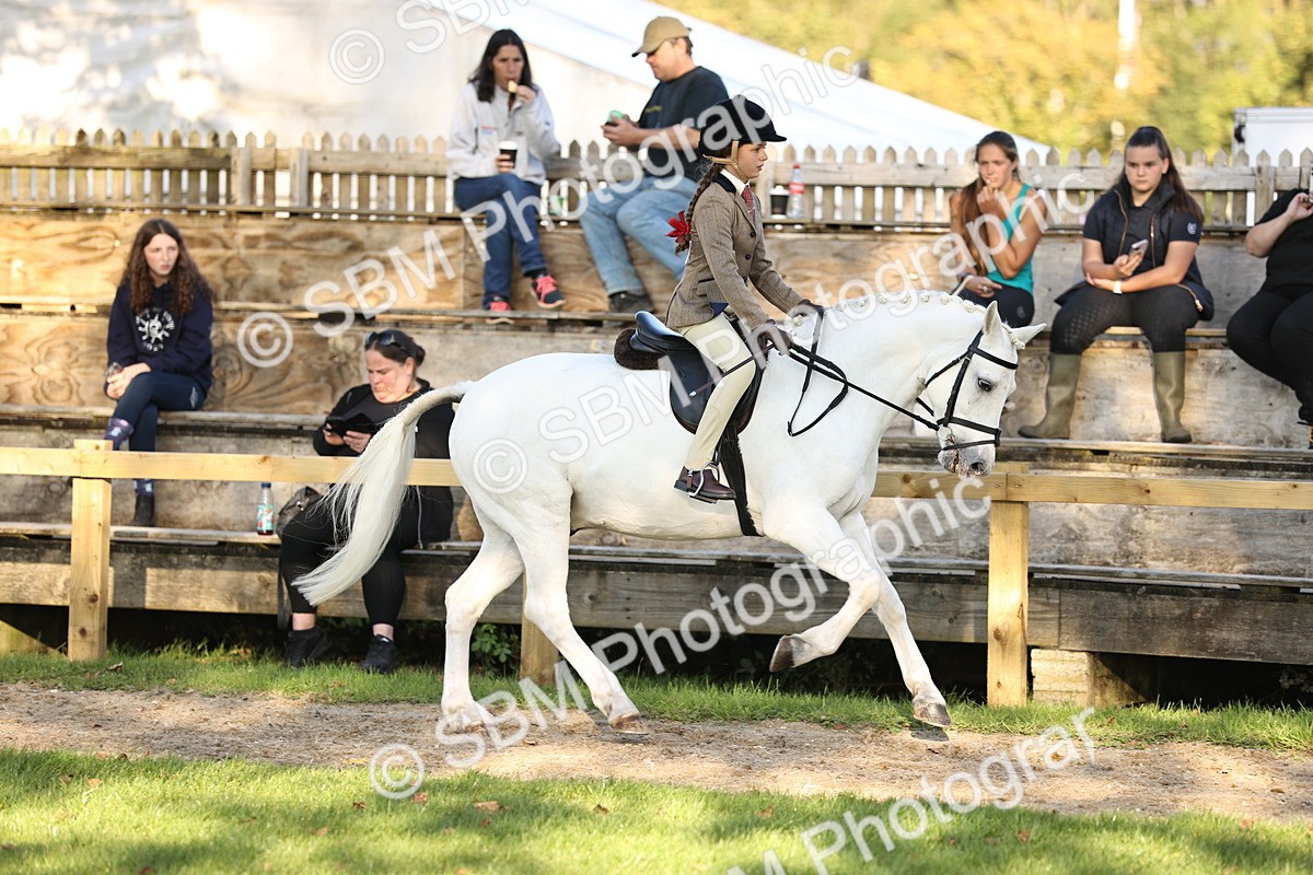 SBM_29629 - S7 - Novice & Newcomers Ridden Pony
