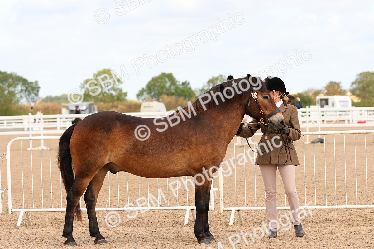 SBM_11949 - Class 209 - IH Veteran Pony
