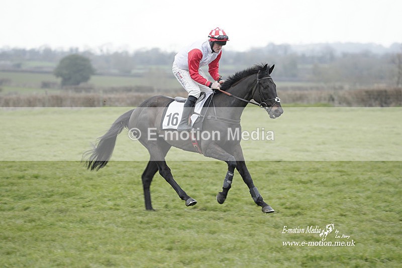PtP 050323 779 - Blackmore & Sparkford Vale Hunt PtP - Somerset 05/03/23