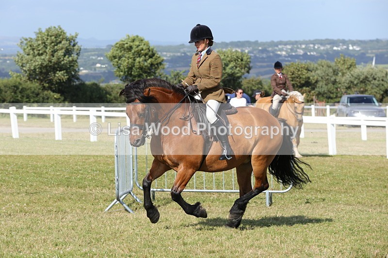 1X9A6001 - Class 42: NPS Dales, Fell, Highland