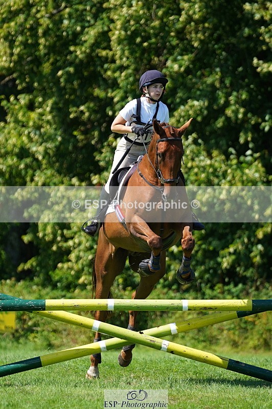 240811A-141104-04201 - 217-