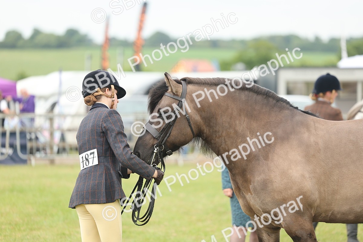 SBM_08983 - Class 78-80 - Ridden M&M Non Welsh Ponies