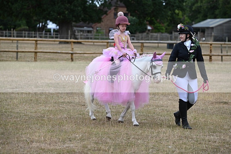 WJ6_8617 - Class 11 Fancy Dress