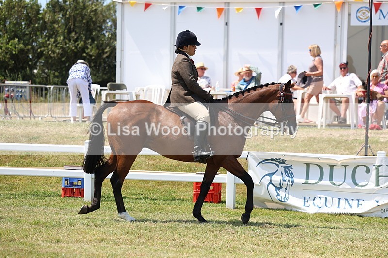 3E7A9280 - Class 12: Open Racehorse to Show Horse