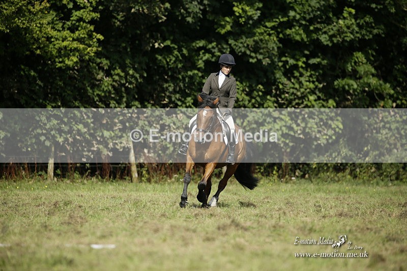 BVRC 120921 310 - Bourne Valley Riding Club UA Dressage & Show Jumping 12/09/21