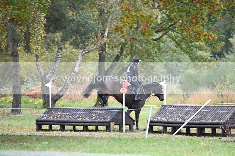 WJ6_3977 - 90cm Cam 1 Time 14:05 to 14:35