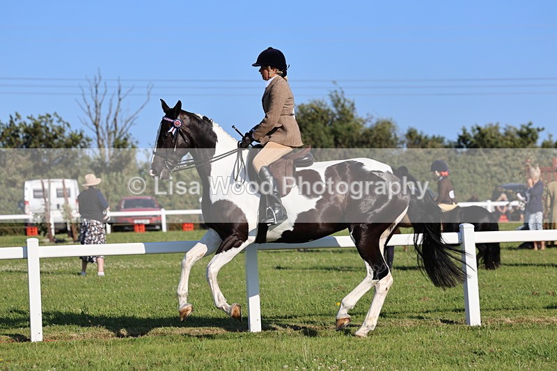 IMG_1248 - Class 27: Ridden Plaited Coloured Horse