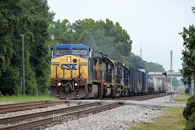 9th Aug 2017 - Folkston Funnel, GA