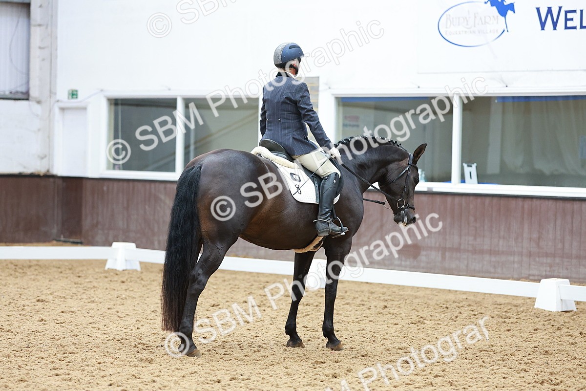 SBM_007645 - Class 4-5-6 - Prel 3-Novice 2-Ele 2