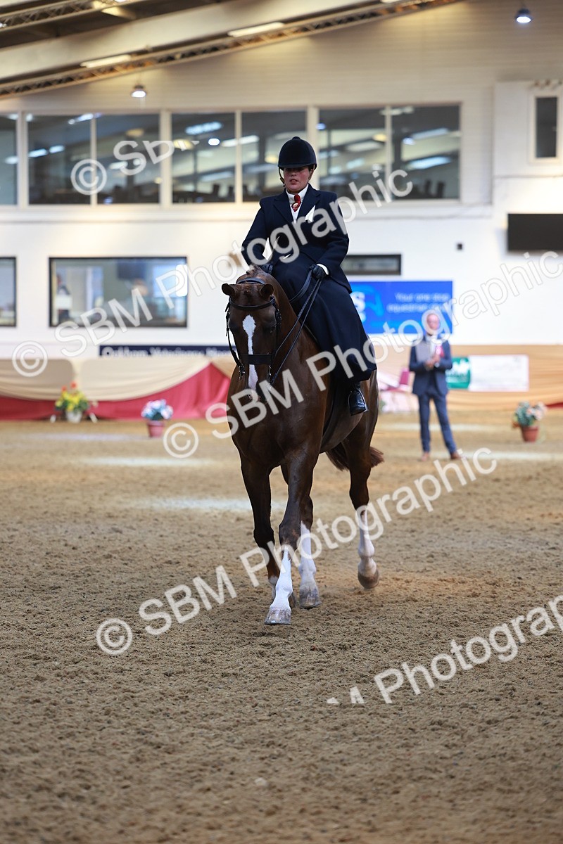 SBM_12548 - Class 103 - HOYS Veteran Qualifier - Ridden Pre Vet