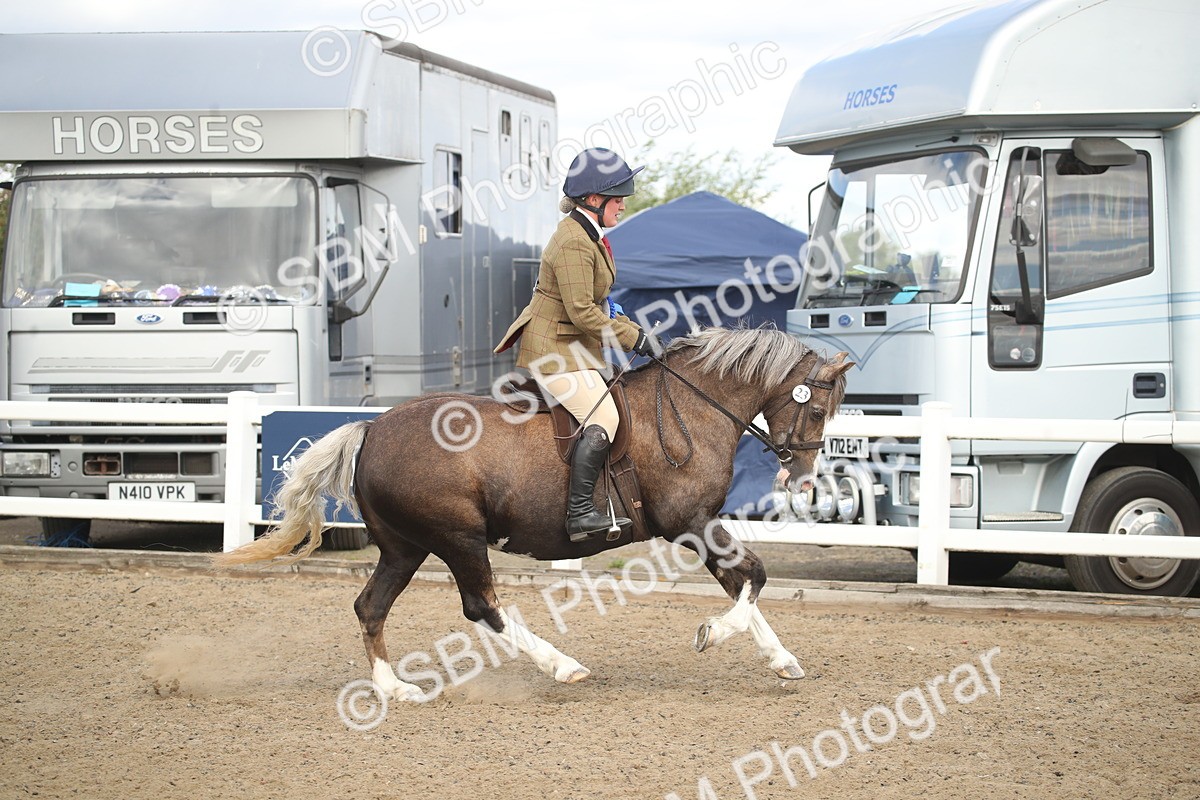 SBM_15195 - Class 505b - M&M Working Veteran - 50cm (20+)