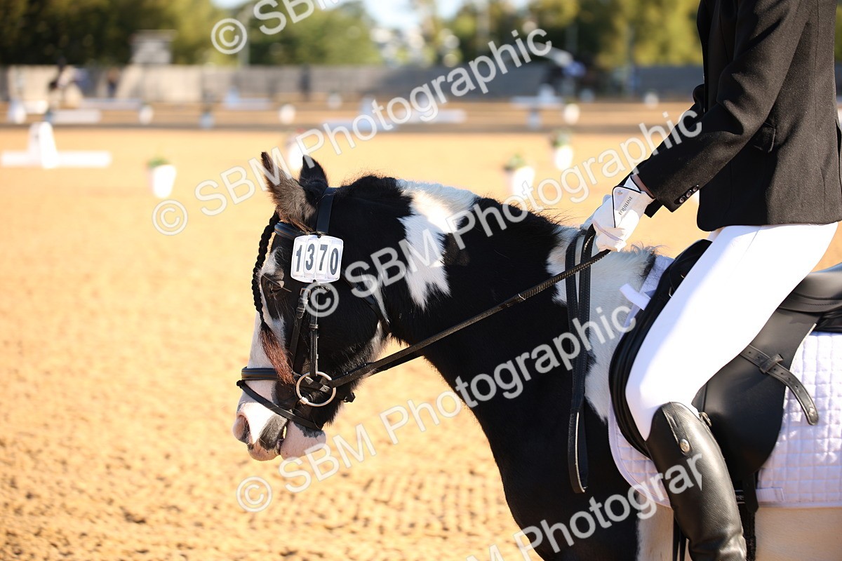SBM_01757 - D2 Small Tour Championship Intro C