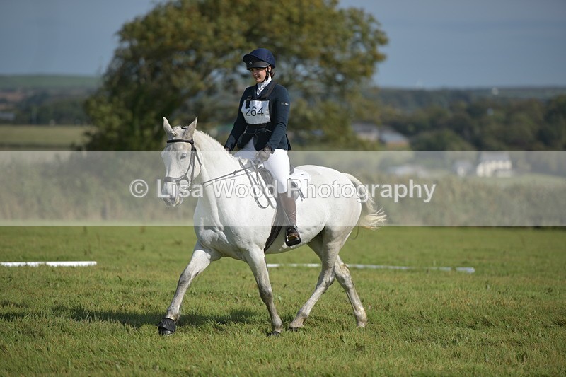 RAY_8081 - Class 2B: Trekenning Open: Dressage