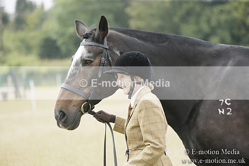 B230619-0497 - Bourne Valley Riding Club Summer Show 23/06/19
