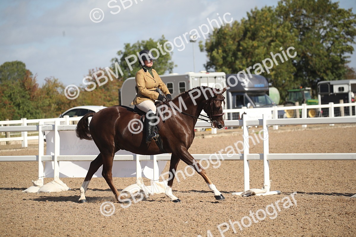 SBM_22775 - Class 602 - 2026 Area - Ridden Veteran