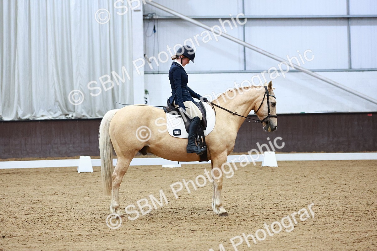 0B8A8320 - Class 5 - Novice 2