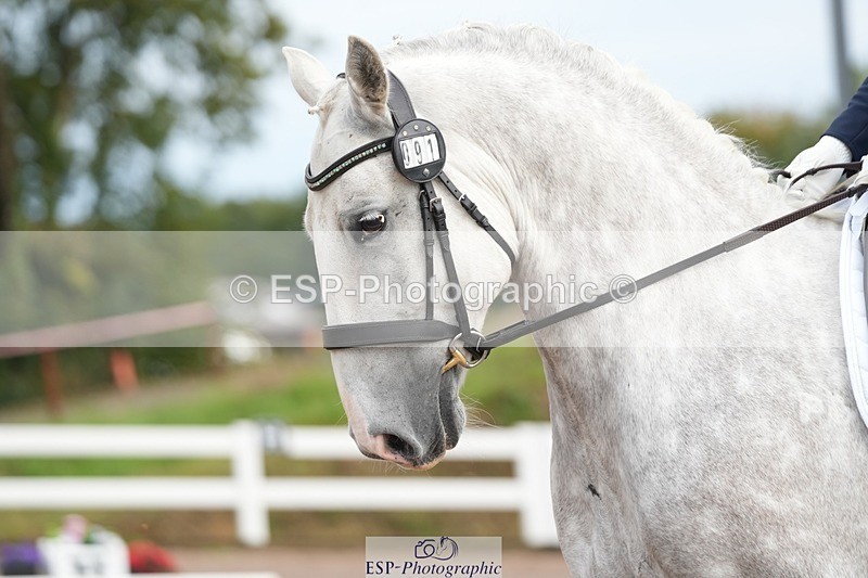 250907-111800-06037 - 091-Jenny.FolmanPluto.Barbana