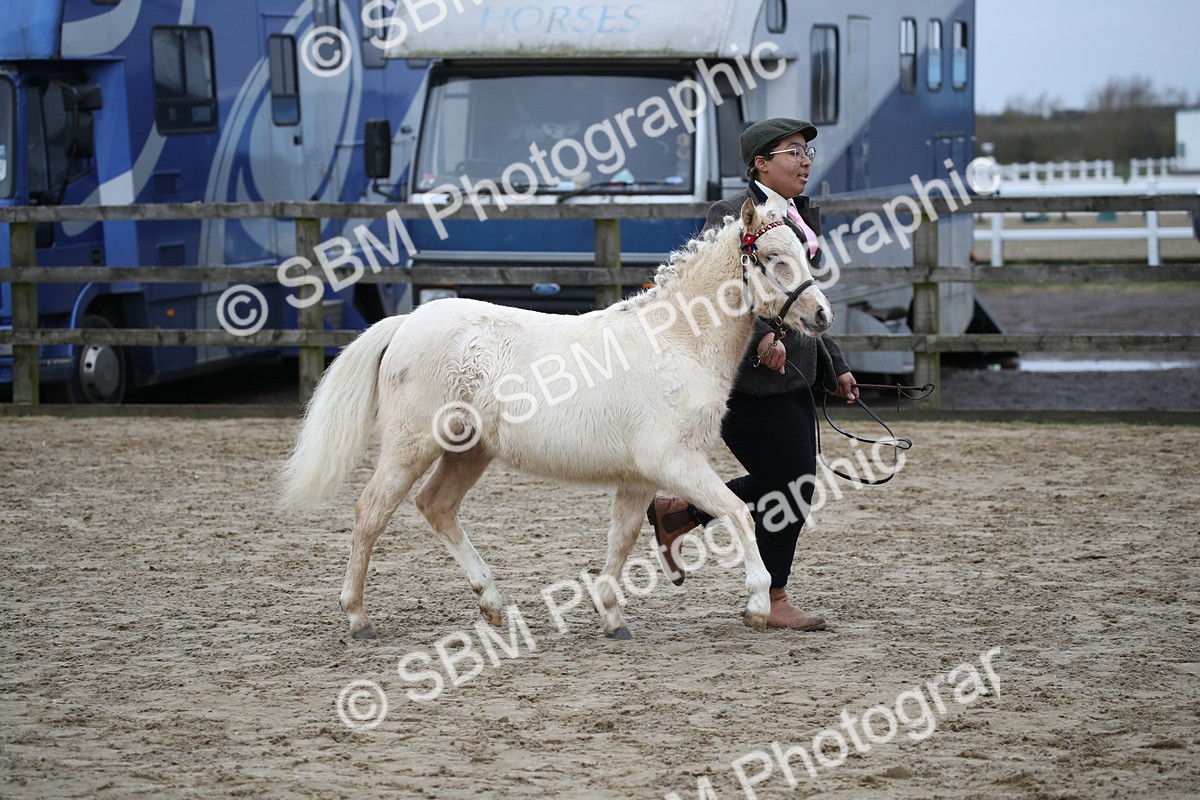 SBM_004580 - Class 5-9 - NPS In Hand-Show Hunter-Intermediate Ridden Inc Ridden Championship
