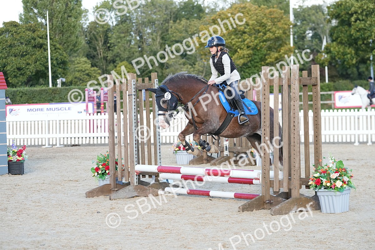 SBM_29048 - J43 - Horse & Hound Open 50cm
