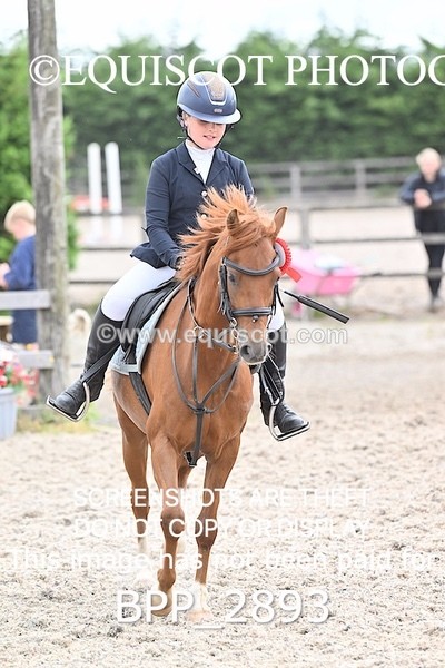 BPP_2893 - CLASS 6 Stepping Stones 128/ 138cms Handicap